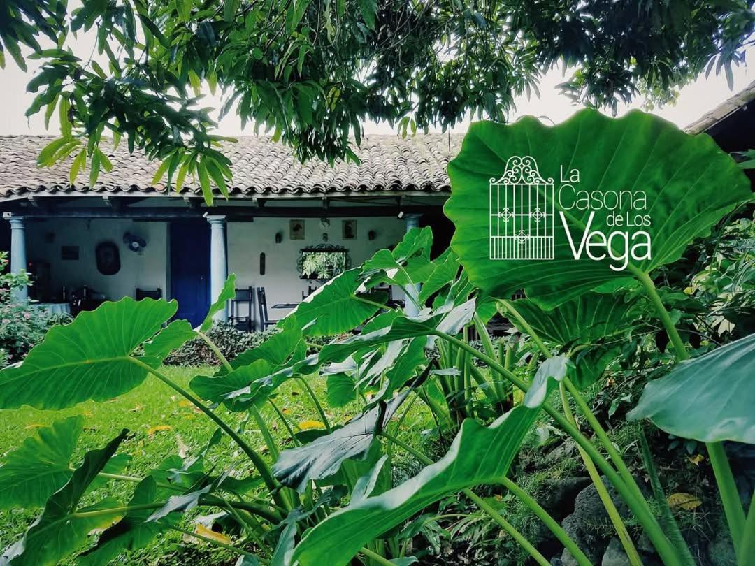 Izalco Casona Los Vega מראה חיצוני תמונה
